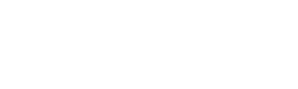 Gim logo